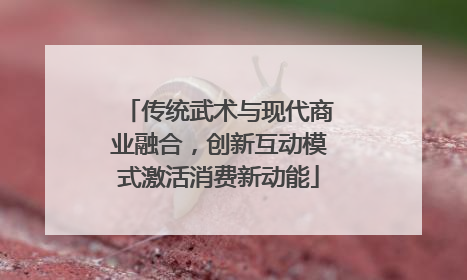 传统武术与现代商业融合，创新互动模式激活消费新动能