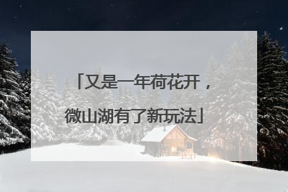 又是一年荷花开，微山湖有了新玩法