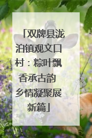 双牌县泷泊镇观文口村：粽叶飘香承古韵 乡情凝聚展新篇