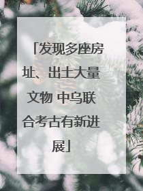 发现多座房址、出土大量文物 中乌联合考古有新进展