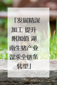发展精深加工 提升附加值 湖南生猪产业谋求全链条转型