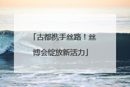 古都携手丝路！丝博会绽放新活力