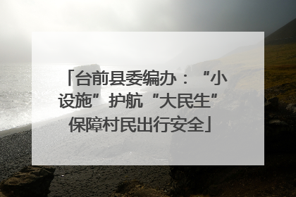 台前县委编办：“小设施”护航“大民生” 保障村民出行安全
