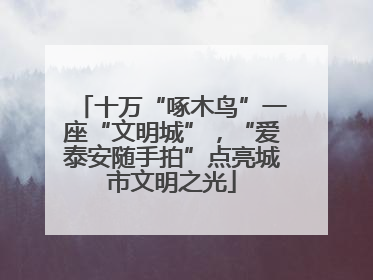 十万“啄木鸟”一座“文明城”，“爱泰安随手拍”点亮城市文明之光