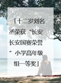 十二岁刘名丞荣获“长安长安国赛荣誉”小学高年级组一等奖