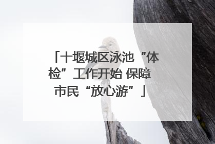 十堰城区泳池“体检”工作开始 保障市民“放心游”