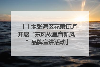 十堰张湾区花果街道开展“东风故里育新风”品牌宣讲活动