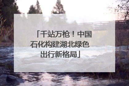 千站万枪！中国石化构建湖北绿色出行新格局