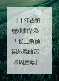 千年古镇绽戏曲华彩！长三角顾锡东戏曲艺术周启幕