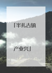 半扎古镇产业兴