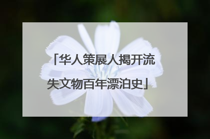华人策展人揭开流失文物百年漂泊史