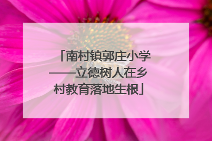 南村镇郭庄小学——立德树人在乡村教育落地生根