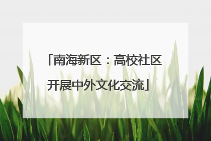 南海新区：高校社区开展中外文化交流