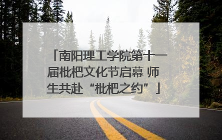 南阳理工学院第十一届枇杷文化节启幕 师生共赴“枇杷之约”