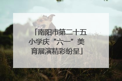 南阳市第二十五小学庆“六一”美育展演精彩纷呈