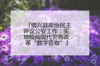 博兴县政协民主评议公安工作：实地检阅现代警务改革“数字答卷”