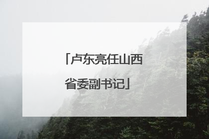 卢东亮任山西省委副书记