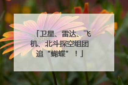 卫星、雷达、飞机、北斗探空组团追“蝴蝶”！