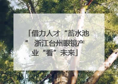 借力人才“蓄水池” 浙江台州眼镜产业“看”未来