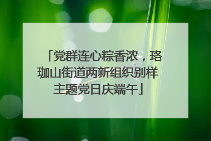 党群连心粽香浓，珞珈山街道两新组织别样主题党日庆端午