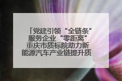 党建引领“全链条” 服务企业“零距离” 重庆市质标院助力新能源汽车产业链提升质量管理水平