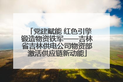 党建赋能 红色引擎锻造物资铁军——吉林省吉林供电公司物资部激活供应链新动能