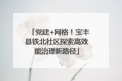 党建+网格！宝丰县铁北社区探索高效能治理新路径