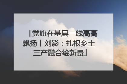 党旗在基层一线高高飘扬丨刘影：扎根乡土 三产融合绘新景