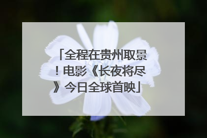 全程在贵州取景！电影《长夜将尽》今日全球首映
