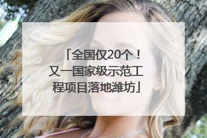 全国仅20个！又一国家级示范工程项目落地潍坊