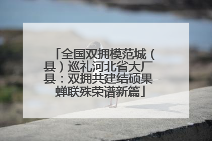 全国双拥模范城（县）巡礼河北省大厂县：双拥共建结硕果 蝉联殊荣谱新篇