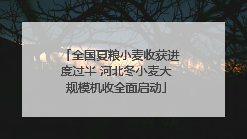 全国夏粮小麦收获进度过半 河北冬小麦大规模机收全面启动