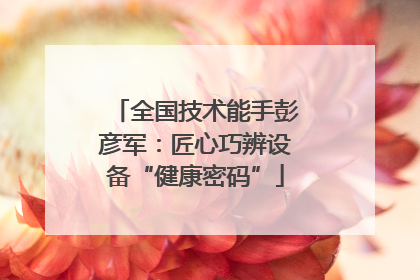 全国技术能手彭彦军：匠心巧辨设备“健康密码”