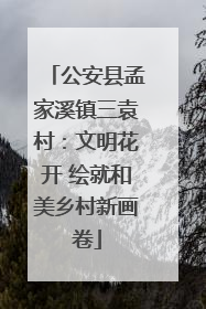 公安县孟家溪镇三袁村：文明花开 绘就和美乡村新画卷