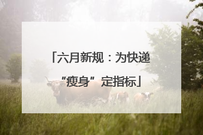 六月新规：为快递“瘦身”定指标