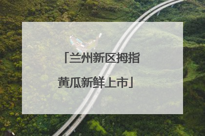 兰州新区拇指黄瓜新鲜上市