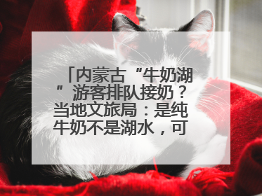内蒙古“牛奶湖”游客排队接奶？当地文旅局：是纯牛奶不是湖水，可放心喝