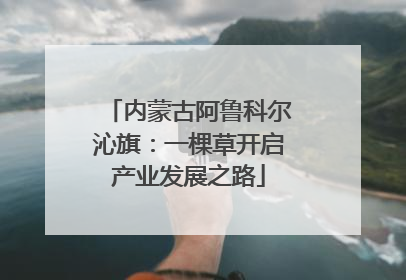 内蒙古阿鲁科尔沁旗：一棵草开启产业发展之路