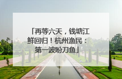 再等六天，钱塘江鲜回归！杭州渔民：第一波盼刀鱼