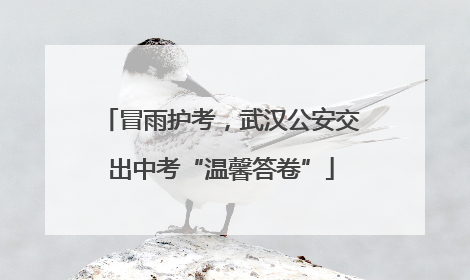 冒雨护考，武汉公安交出中考“温馨答卷”