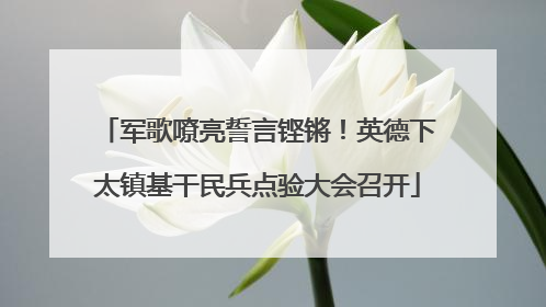 军歌嘹亮誓言铿锵！英德下太镇基干民兵点验大会召开