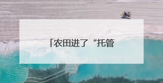 农田进了“托管班”、一地双收赚翻了……各地夏粮丰收有“粮”方