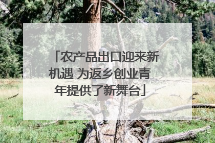 农产品出口迎来新机遇 为返乡创业青年提供了新舞台