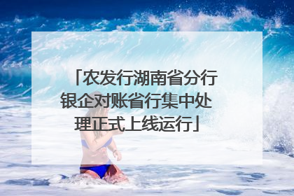 农发行湖南省分行银企对账省行集中处理正式上线运行