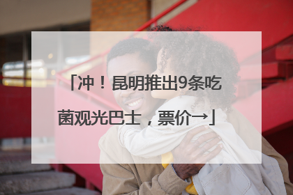 冲！昆明推出9条吃菌观光巴士，票价→