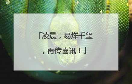 凌晨，易烊千玺，再传喜讯！