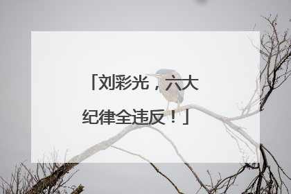 刘彩光，六大纪律全违反！