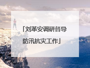 刘革安调研督导防汛抗灾工作