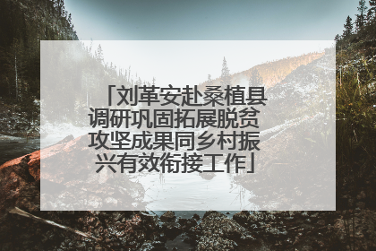 刘革安赴桑植县调研巩固拓展脱贫攻坚成果同乡村振兴有效衔接工作
