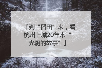 到“稻田”来，看杭州上城20年来“光阴的故事”